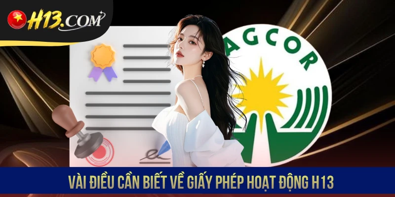 Vài điều cần biết về giấy phép hoạt động H13